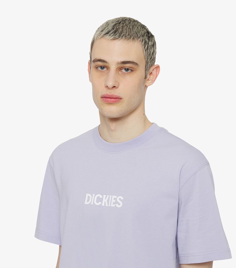 Dickies Patrick Springs Short Sleeve T-Shirt